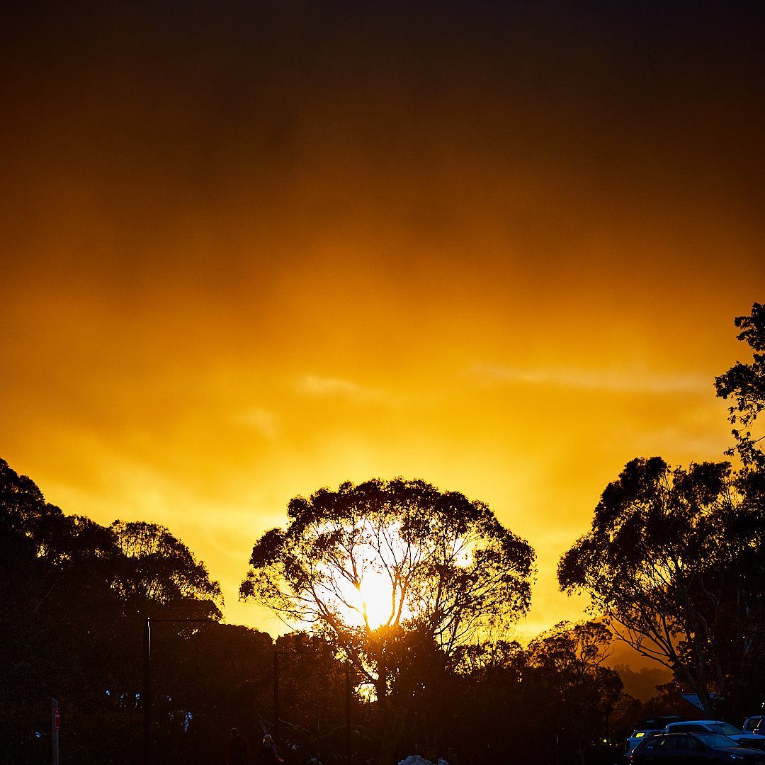 Click to enlarge the photograph Photo 198 from Igor Maric's photography collection