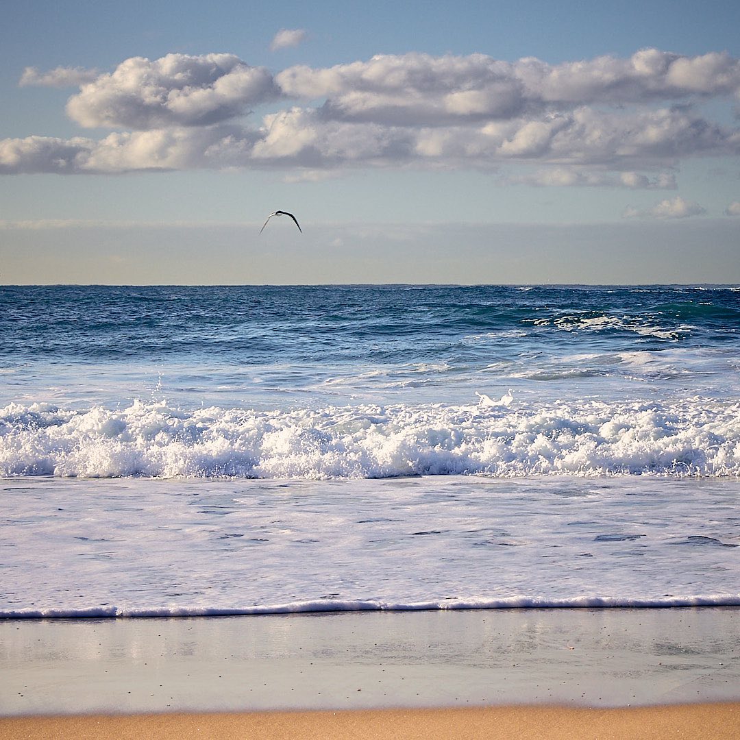 Click to enlarge the photograph Photo 151 from Igor Maric's photography collection