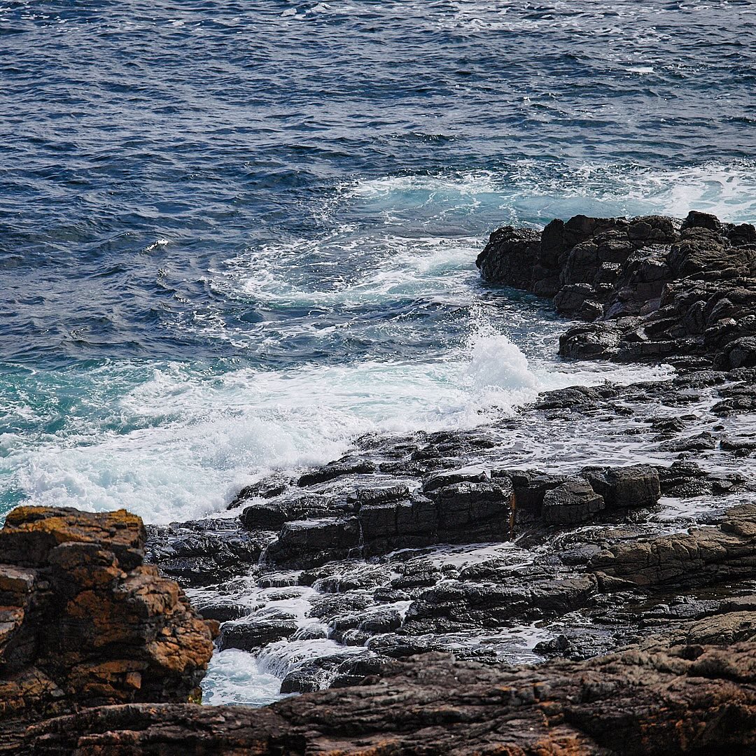 Click to enlarge the photograph Photo 115 from Igor Maric's photography collection