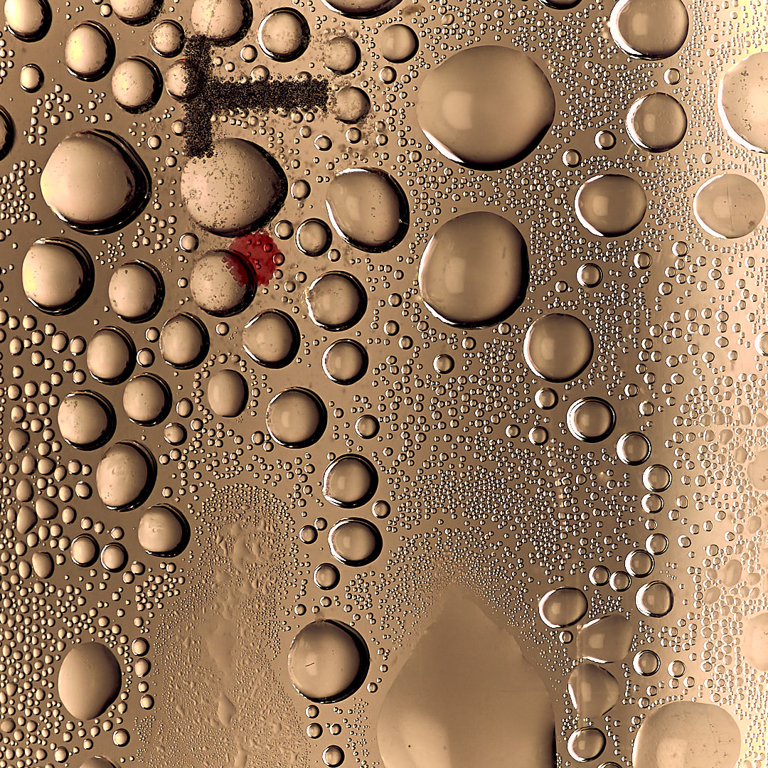 Click to enlarge the photograph Photo 108 from Igor Maric's photography collection