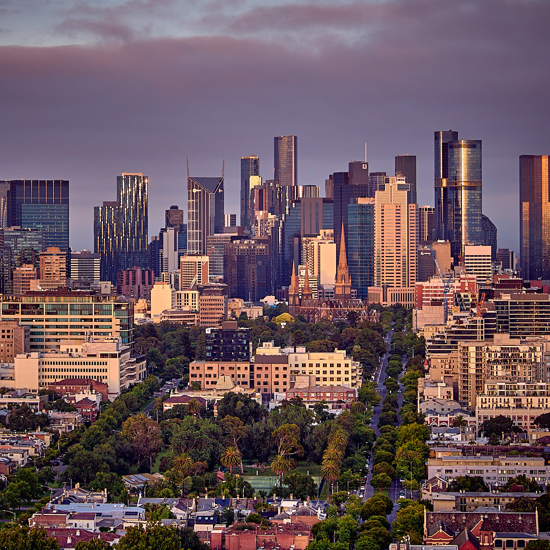 Click to enlarge the photograph Photo 105 from Igor Maric's photography collection