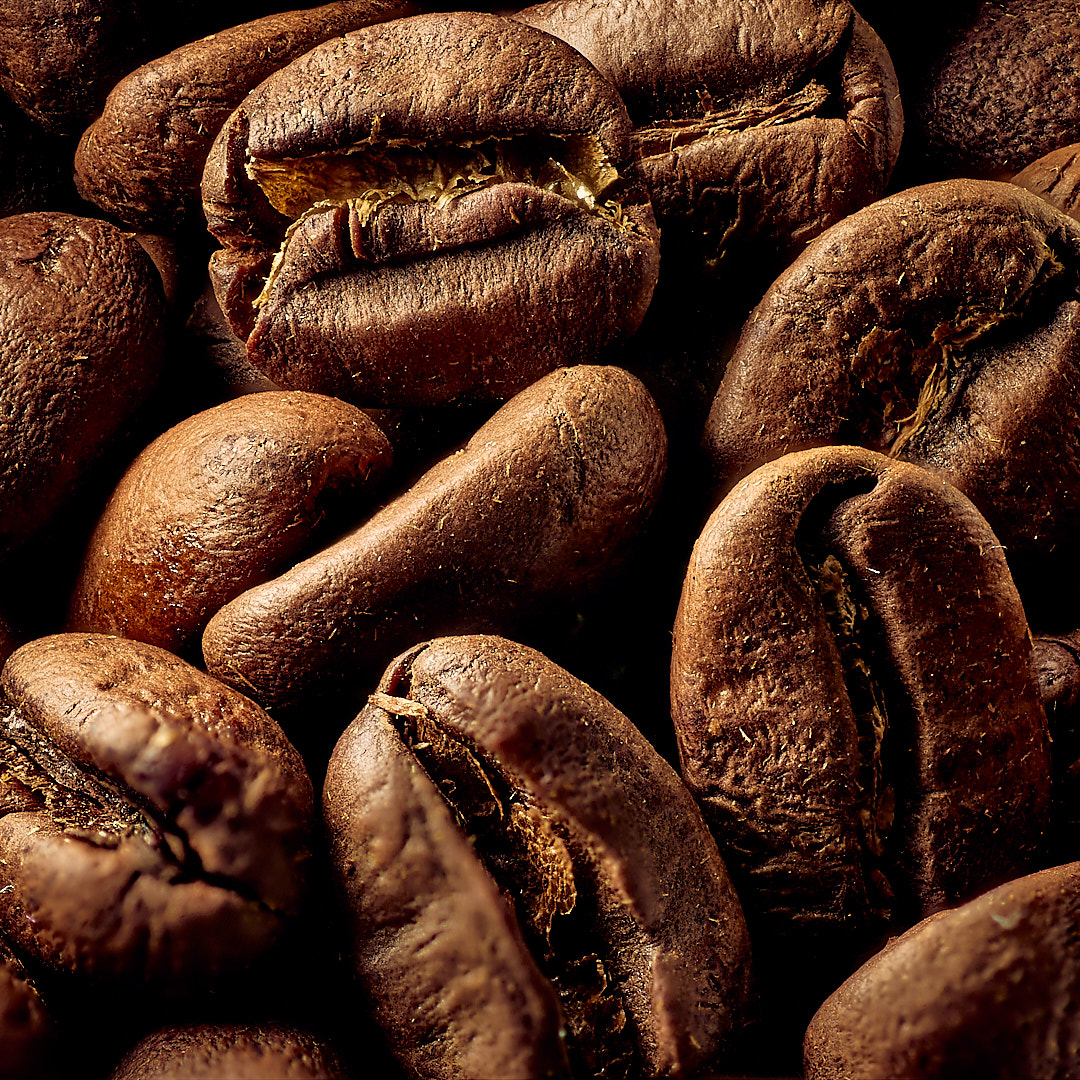 Click to enlarge the photograph Photo 88 from Igor Maric's photography collection