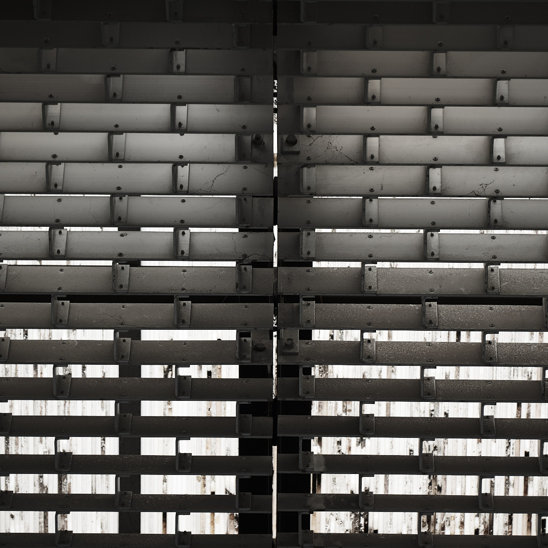 Click to enlarge the photograph Photo 82 from Igor Maric's photography collection