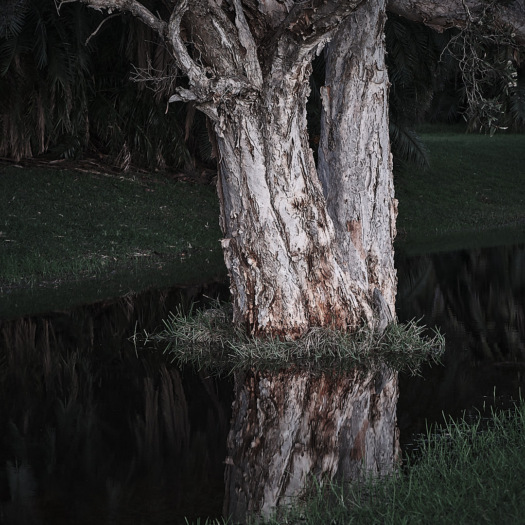 Click to enlarge the photograph Photo 79 from Igor Maric's photography collection