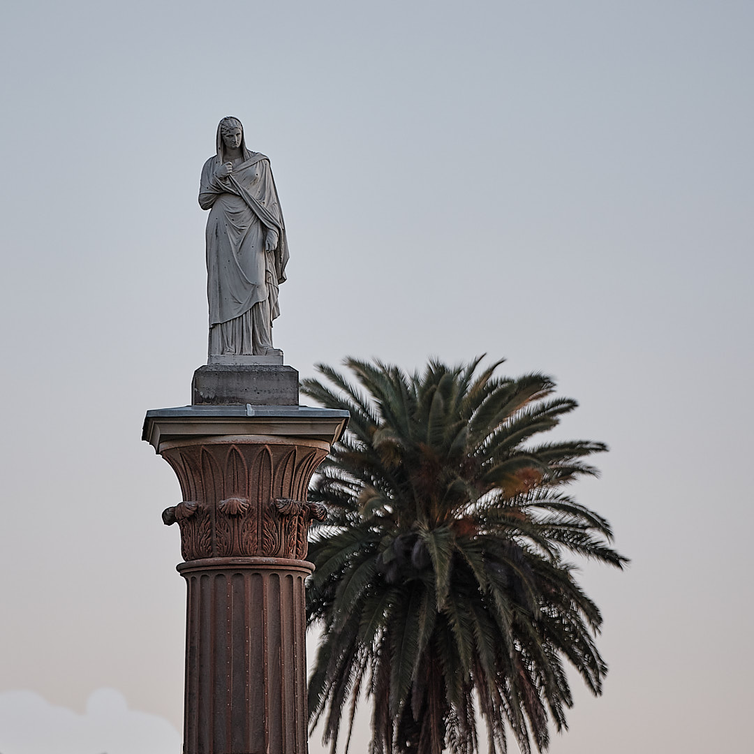 Click to enlarge the photograph Photo 77 from Igor Maric's photography collection