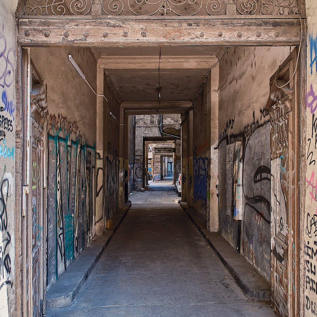 Click to enlarge the photograph Photo 33 from Igor Maric's photography collection